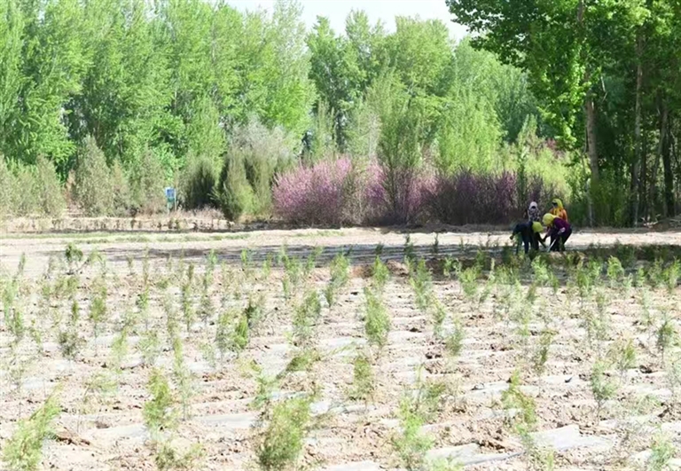 1731549696205016603.jpg 1114002_001_01_s.jpg