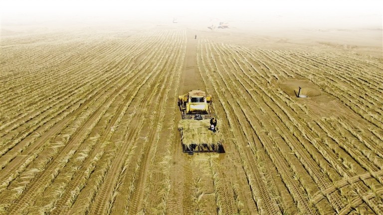 1732069076579001881.jpg 1120005_001_05_s.jpg