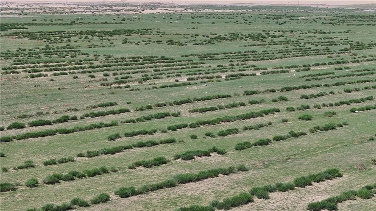 1732161625533047431.jpg 1121004_001_01_s.jpg