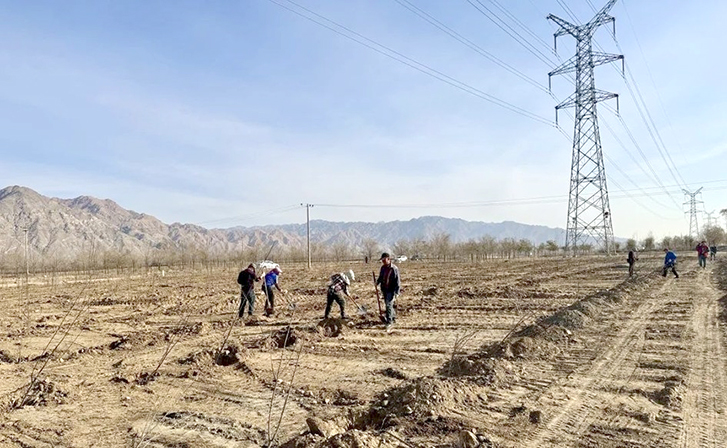 1732759708885090197.jpg 1128005_010_01.jpg