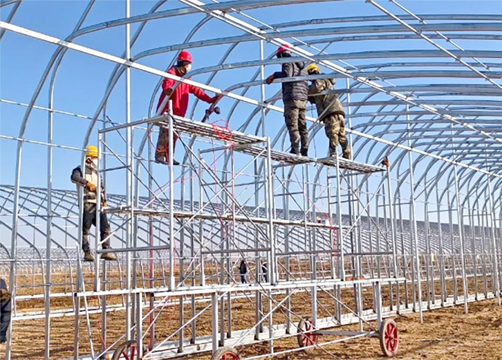 1732762292266016985.jpg 1128007_009_01.jpg