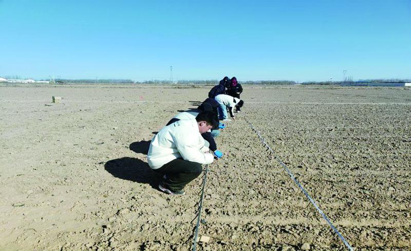 科技人员开展春小麦种植技术指导