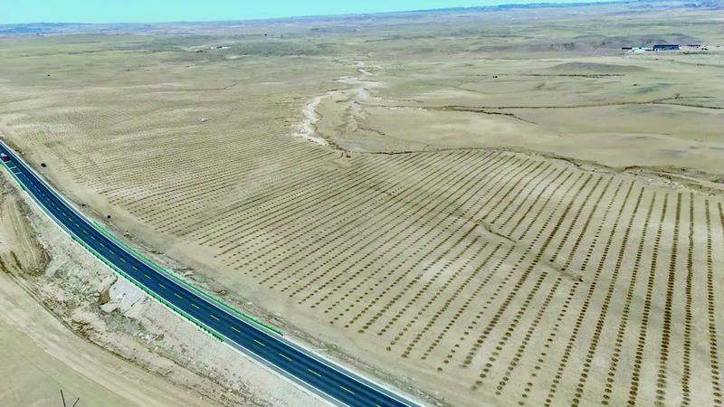 完成柠条种植打孔项目区