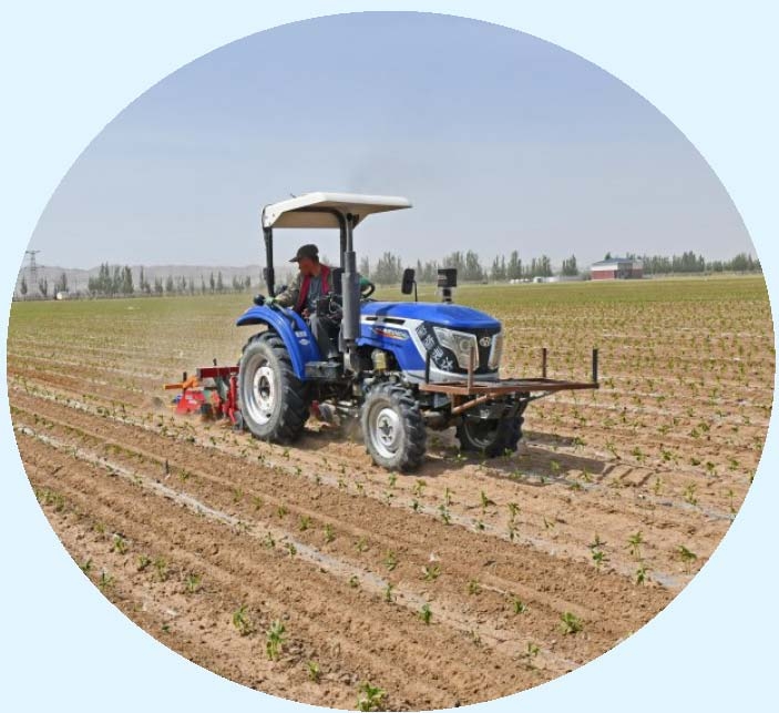 除草机在田间作业