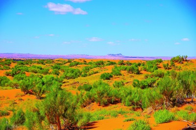 看，草原深处的“绿色宝石”