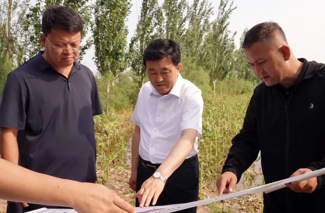 7月13日,市委书记贺伟华先后来到西小召镇土城子村和巴彦套海镇红丰村实地查看玉米、小麦、向日葵等农作物灾情和排干沟渠排涝情况。 1.jpg