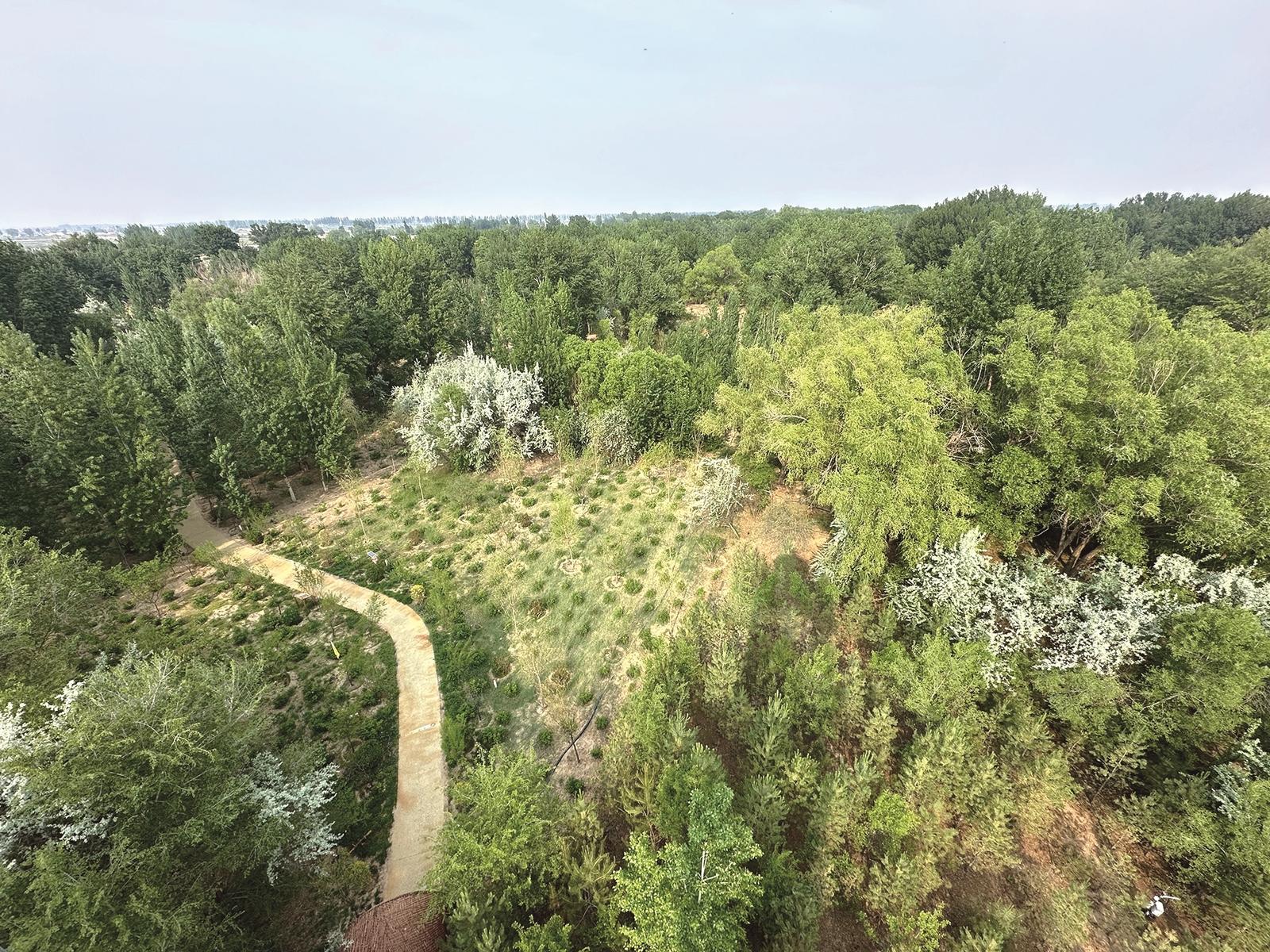 新华林场树木繁茂