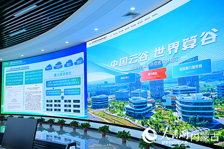 右侧为内蒙古和林格尔新区多云算力资源监测与调度平台算力交易页面。人民网记者 寇雅楠摄