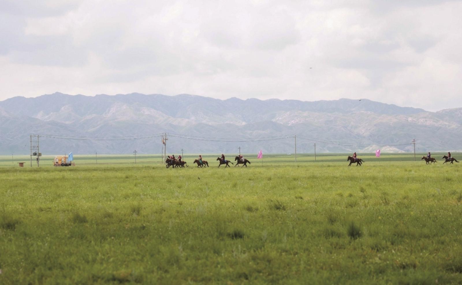 绿草如茵的阿力奔草原