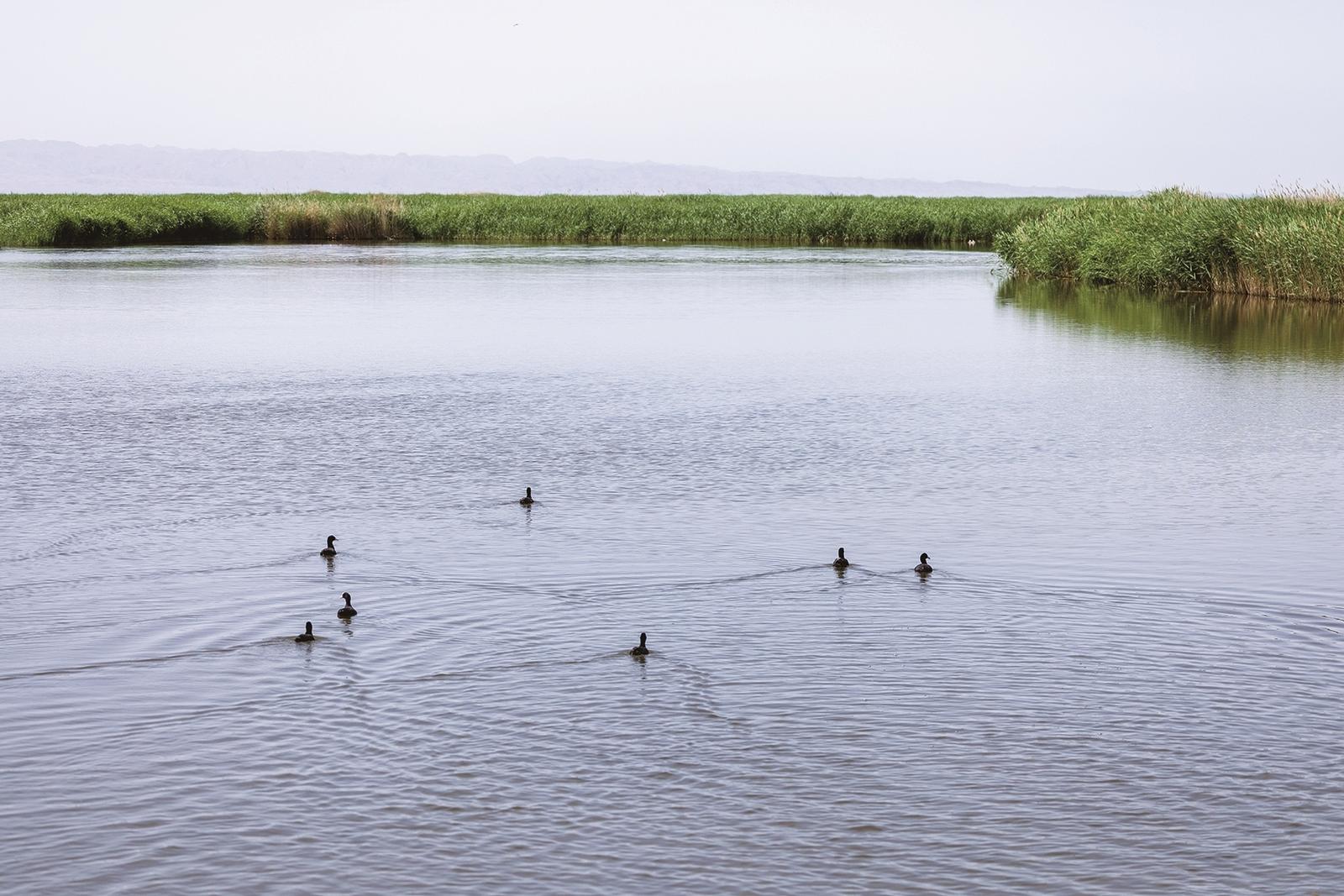 水天一色的乌梁素海