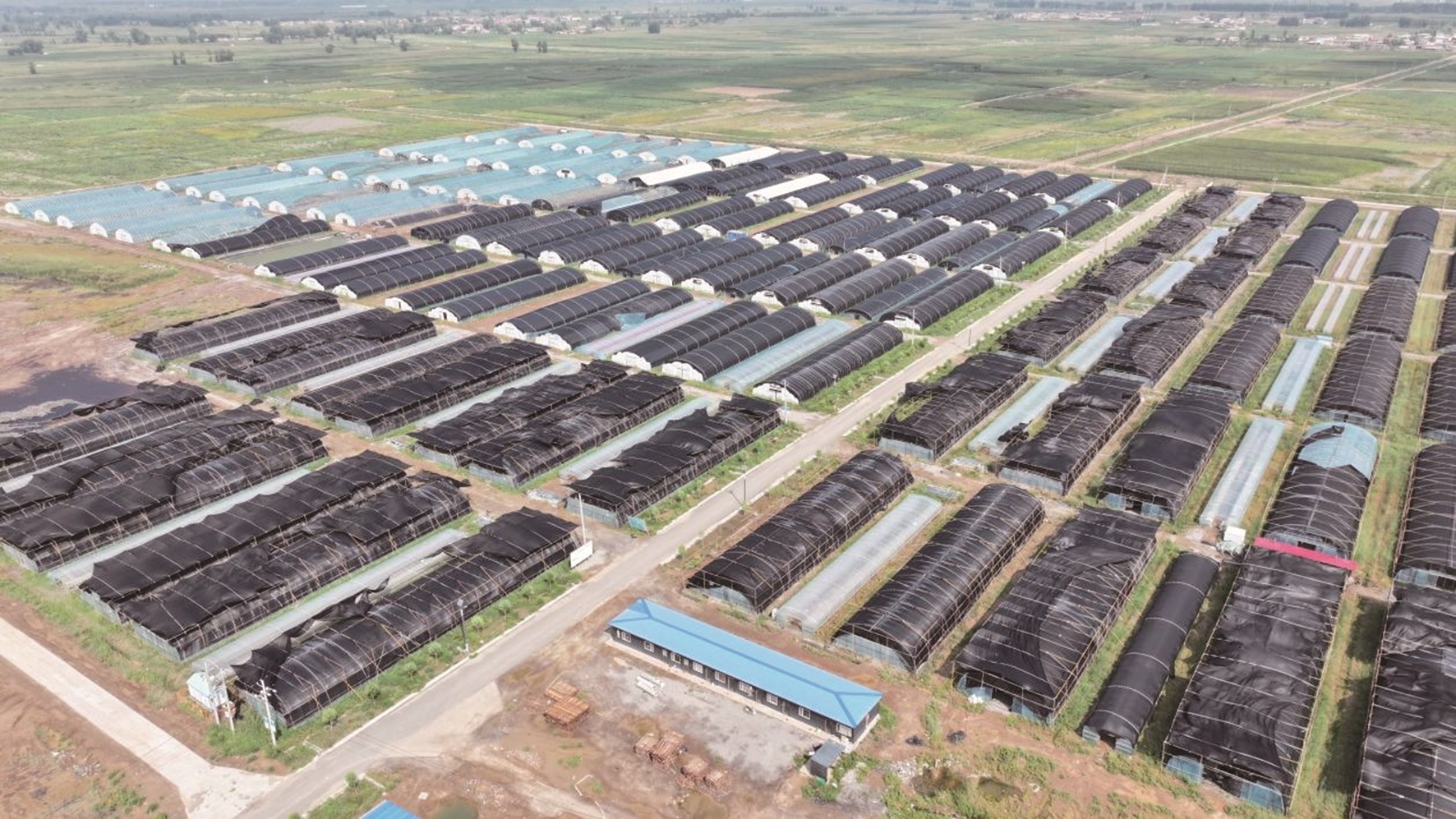 盐碱地综合利用示范园区