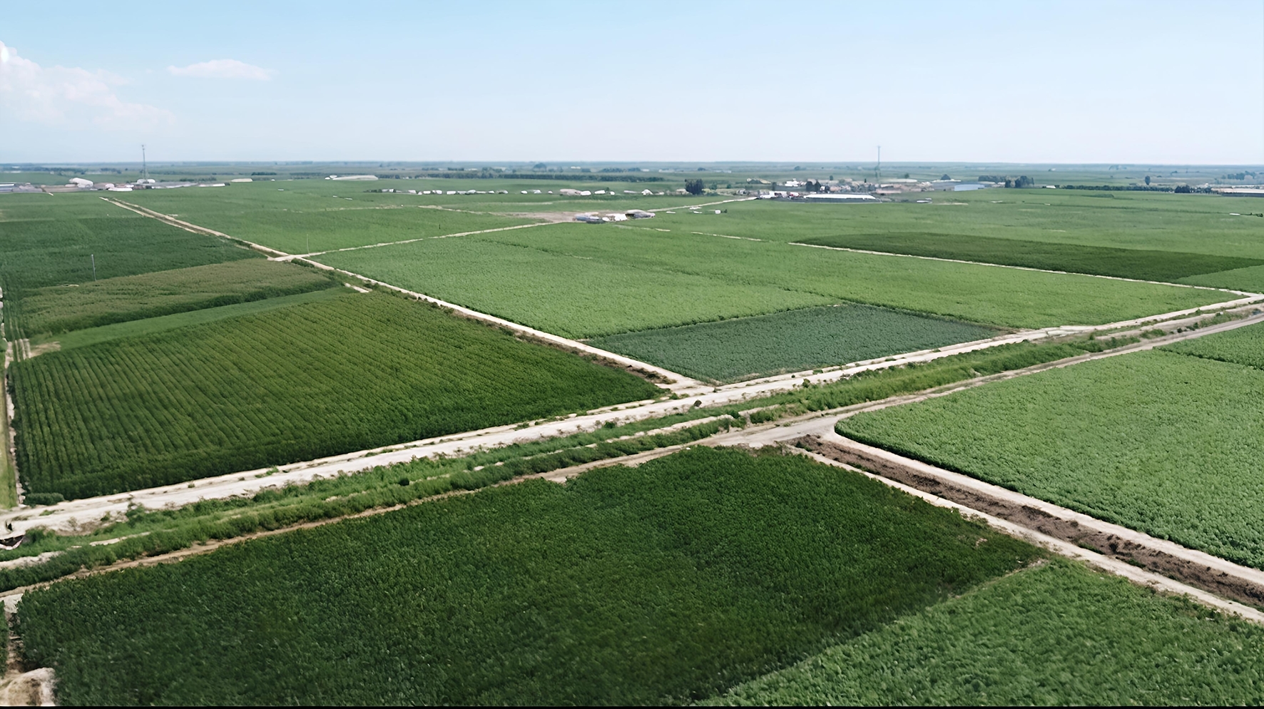 红旗村高标准农田