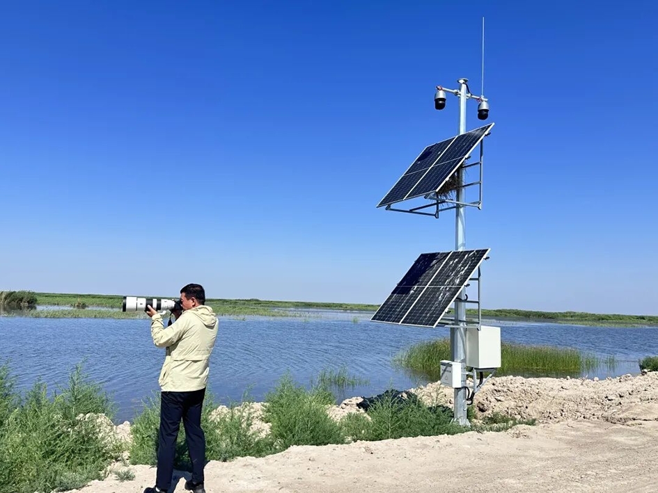 乌梁素海湿地生态系统观测设备