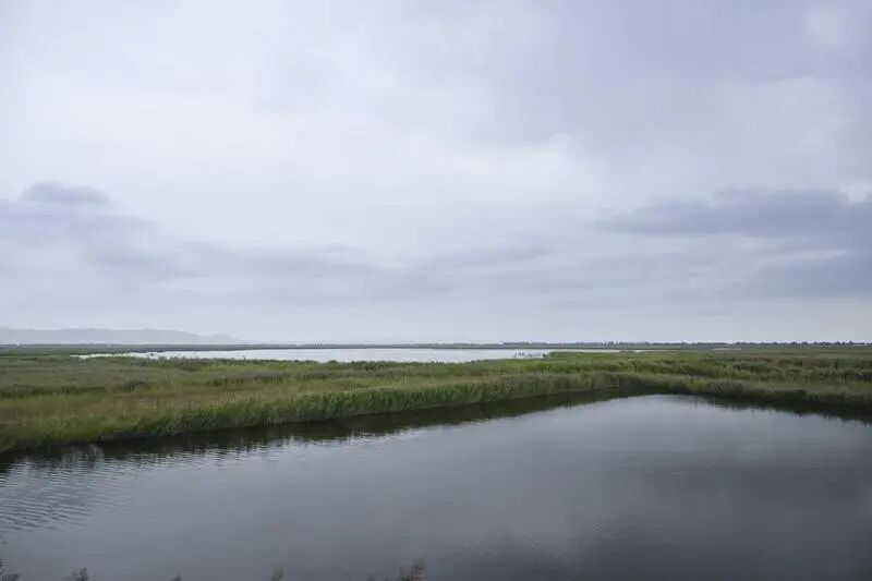 乌拉特中旗牧羊海湿地