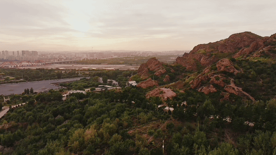 和谐共生｜赤峰红山上的树叶，凝结了几代人的心血