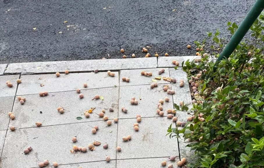 图源:健康杭州 图片