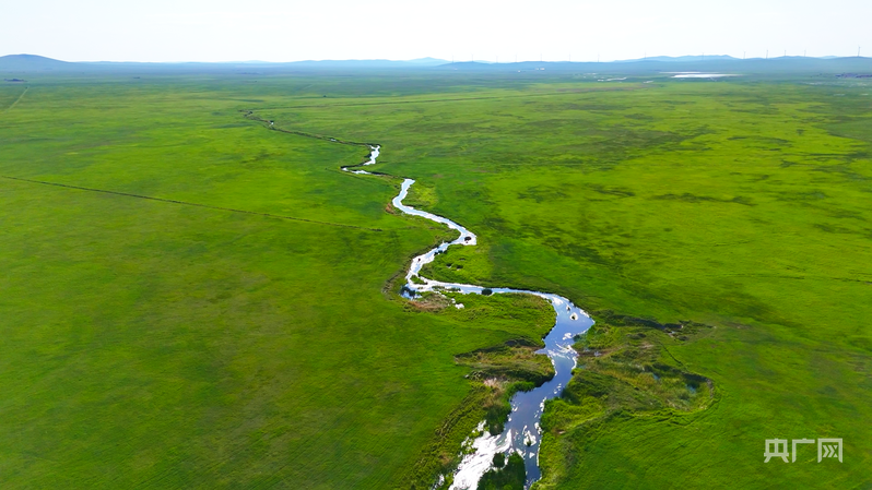 霍林河宛如一条飘落在草原上的玉带(央广网记者 魏全民 摄)