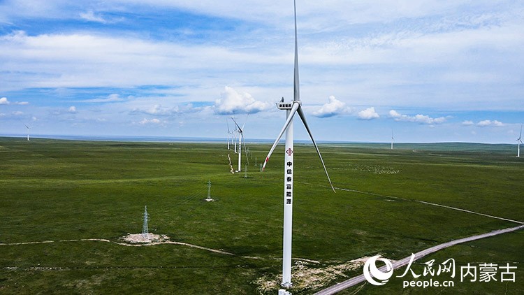 泰富1000MW风电项目现场。受访者供图
