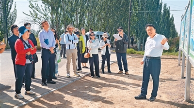 在绿洲防护林体系构建技术示范区,工作人员向各国嘉宾介绍当地兼顾生态修复和经济发展的治沙模式。