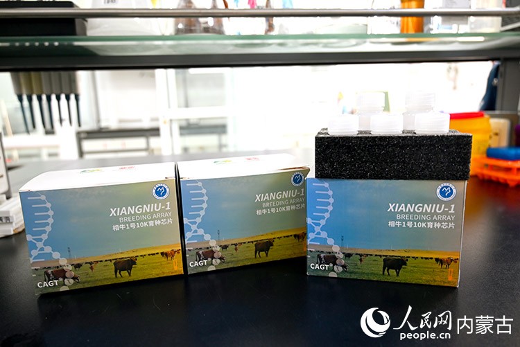 实验室里的“相牛1号10K液相育种芯片”试剂盒。人民网记者 刘艺琳摄