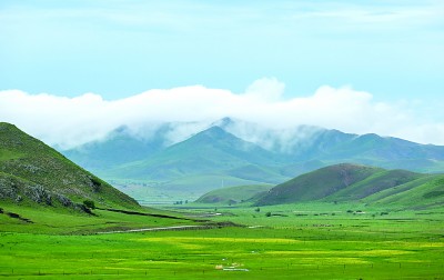 内蒙古自治区赤峰市阿鲁科尔沁草原万物生长。新华社发