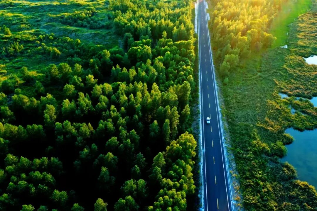 科尔沁沙地风光。(图片来源:通辽融媒) 图片