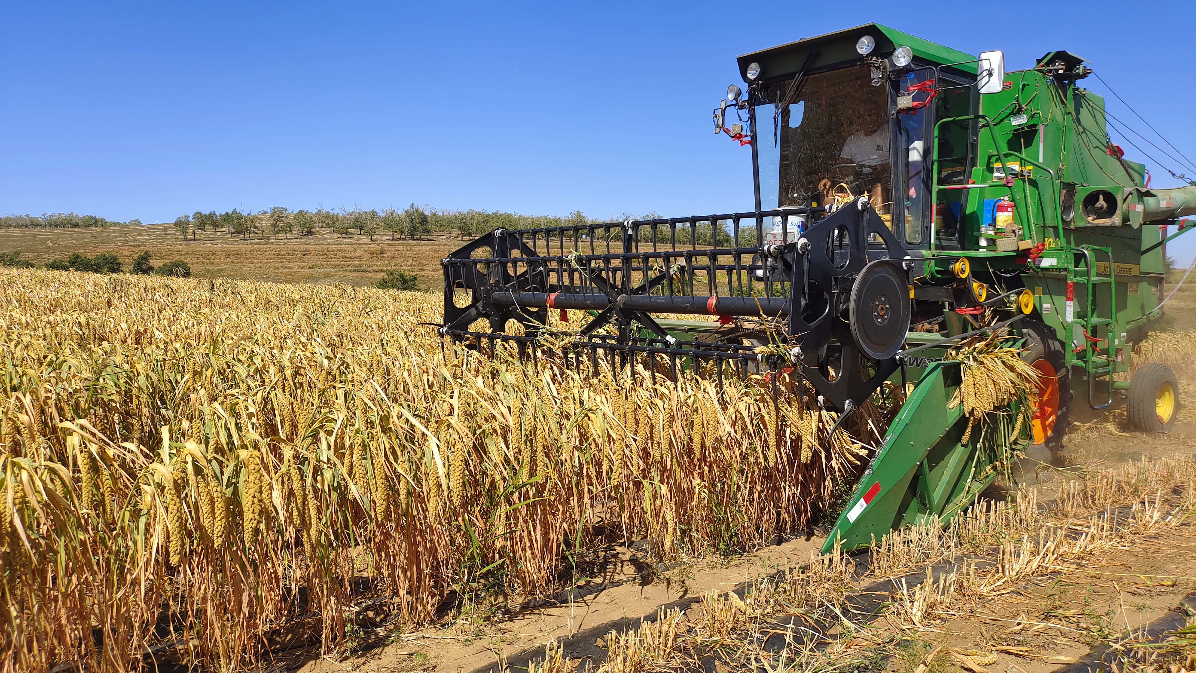 10月22日,巴吉沟村杂粮正在进行机械化收割。王雅琪 摄