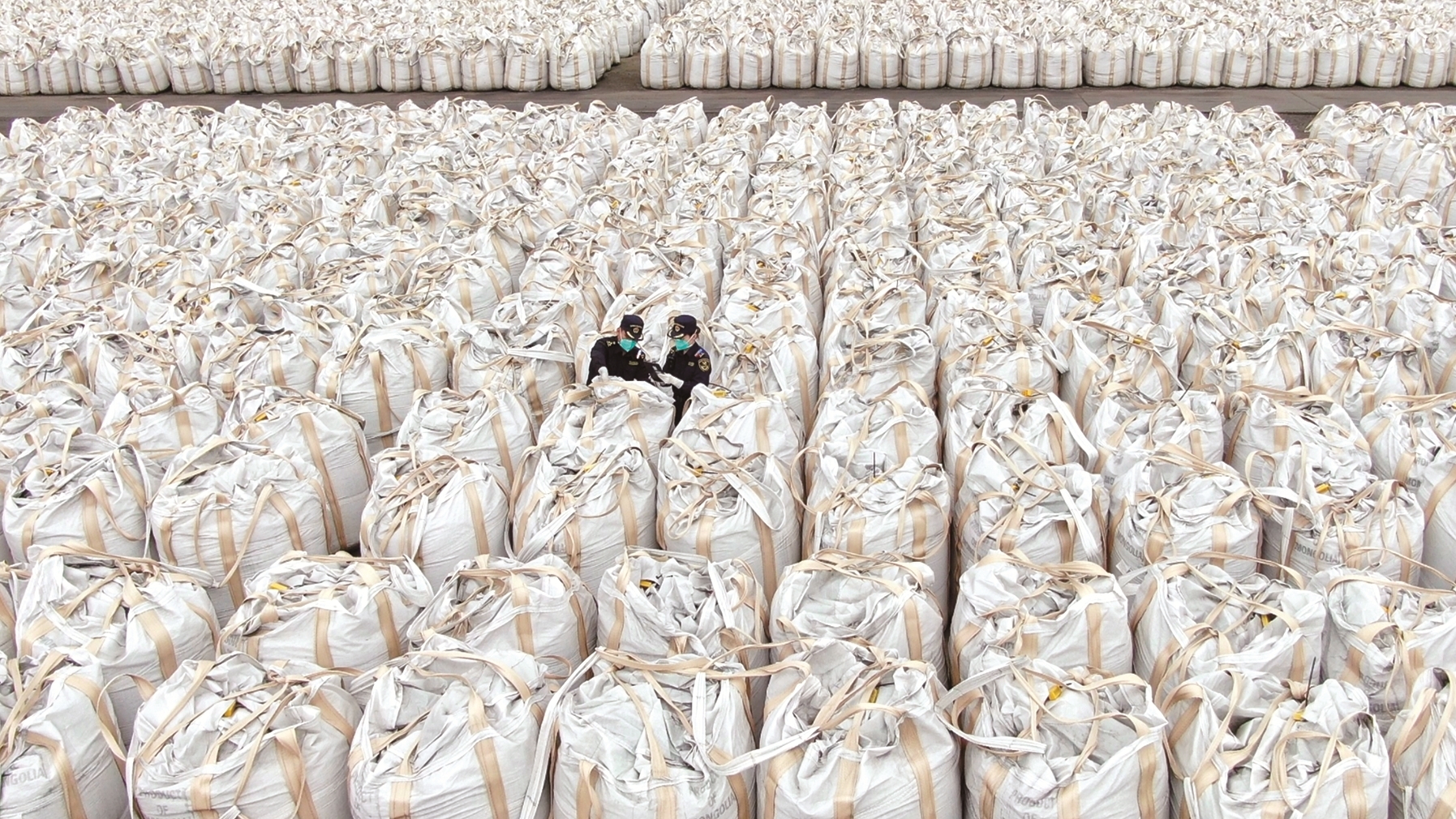 海关关员现场查验货物