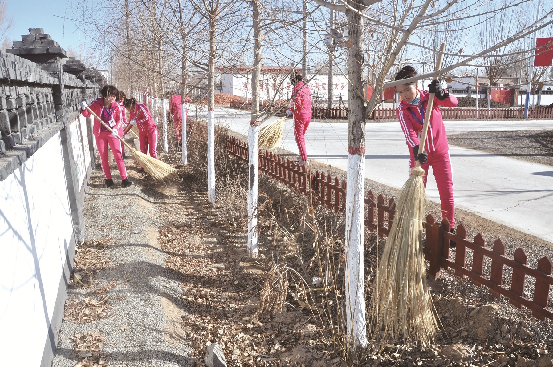 巾帼志愿者义务清理村庄卫生