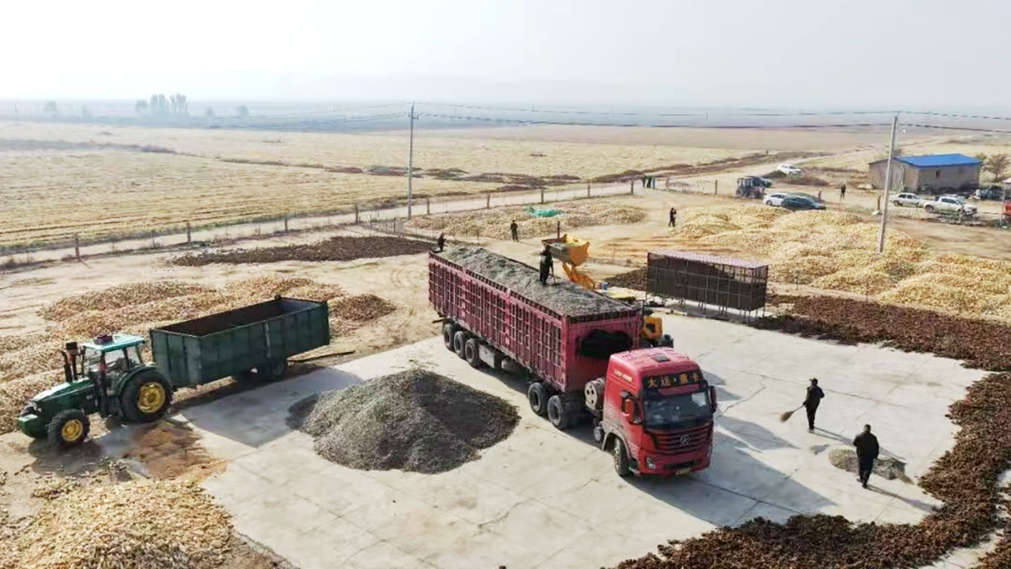 葵花籽打包装车