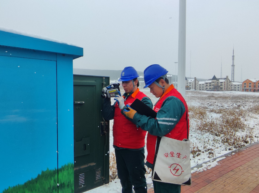 国网兴安供电公司迅速启动应急响应,多措并举保障电力供应,全力守护居民生产生活。 图片