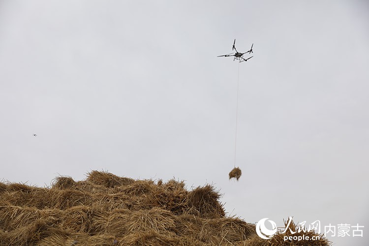 无人机吊运草料。人民网记者 齐浩男摄
