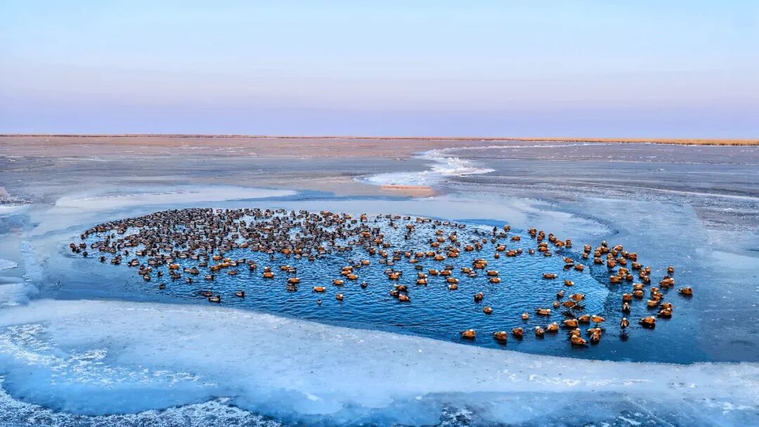 (摄影|李志轩) 图片