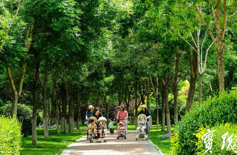 图片来源:内蒙古实践网 朱鸿雁 摄