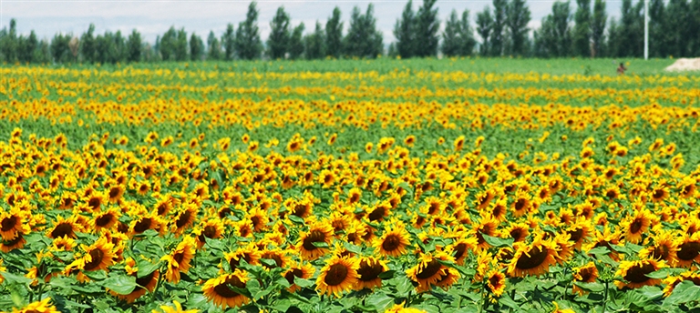 钁垫捣 楂樻檽榫欐憚.jpg