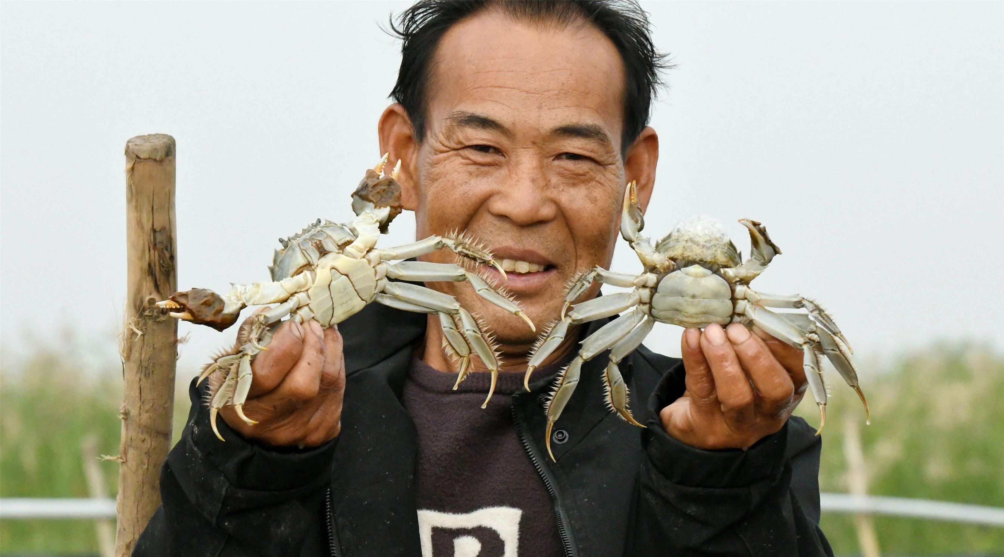 1726795323910031106.jpg 1726795323910031106.jpg